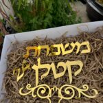 שלט דגם קלאסי