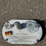 מעמד הבדלה דגם תמר