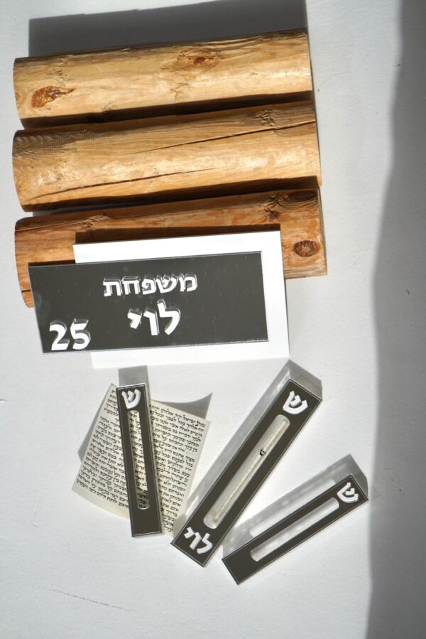 דגם מיכאל
